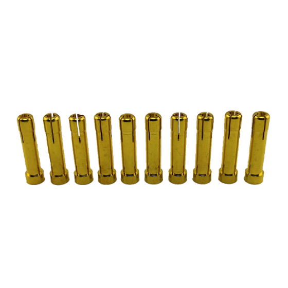 4mm Female to 5mm Male Plug